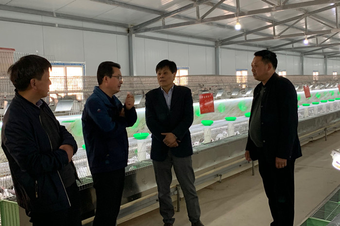 1554108364100276.jpg 2_副本.jpg