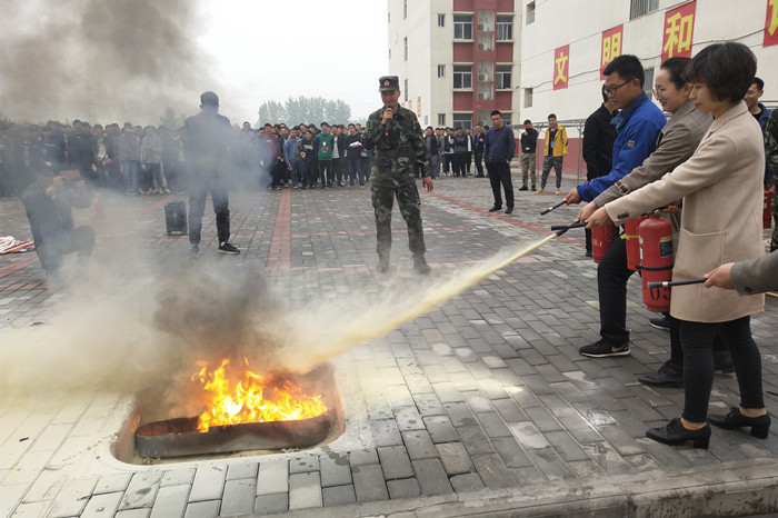 1554967865422873.jpg 2.jpg