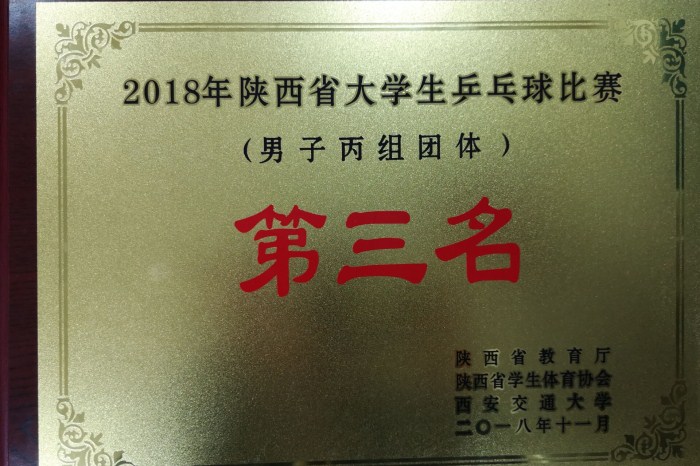 乒乓球比赛 (2)_副本.jpg